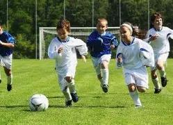 黄铜棒,价格查询,B体育,B体育官方,B体育在线官网,B体育线上,B体育APP