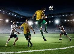 应用上架全,过程揭秘,从零基础到,B体育官方,B体育在线官网,B体育线上,B体育APP