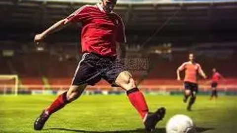 北京双一体育公司