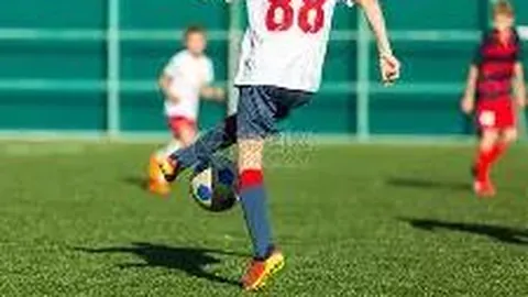 印度外汇储备规模（以美元计）