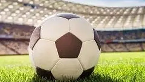 实朴检测出席2025年首届长三角环保科技与可持续发展论坛