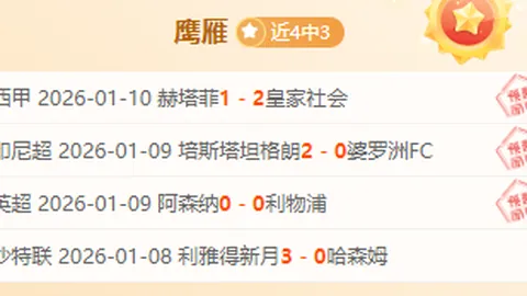 南非队勇捧2025橄榄球世界杯桂冠